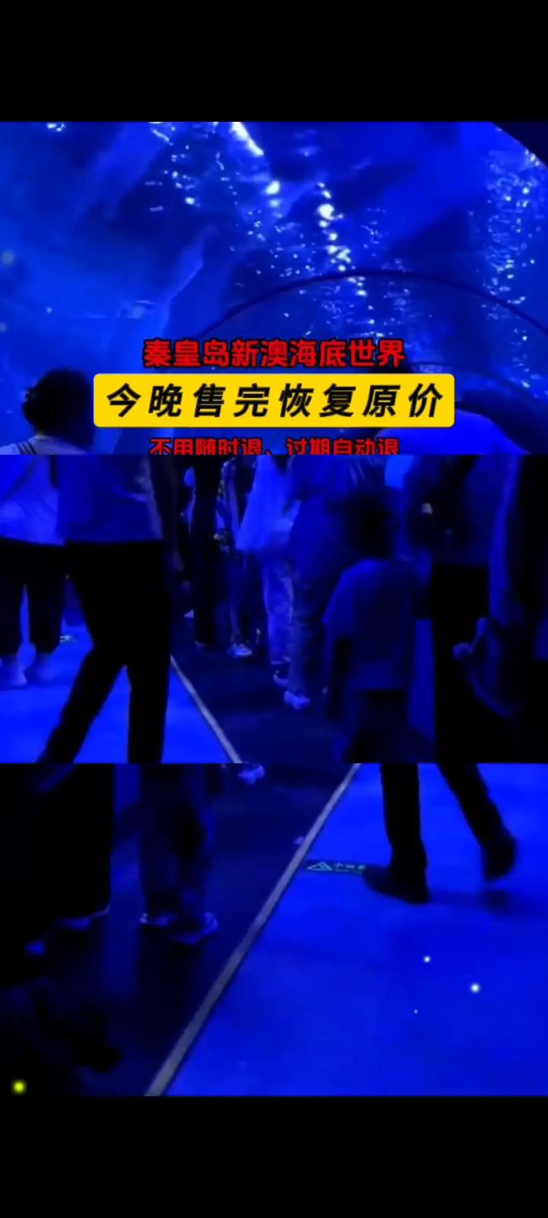 2025年新澳今晚资料大全和微信朋友圈能折叠了与微信朋友圈能折叠了吗