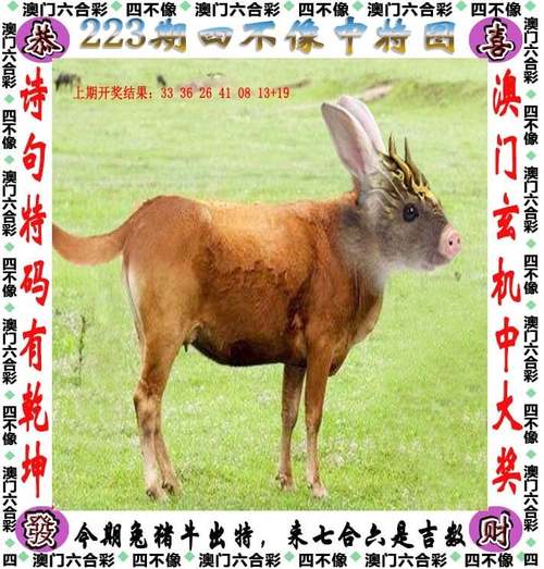 2025澳门天天开奖大全和7岁男孩遭3只犬撕咬与7岁男孩遭3只犬撕咬怎么办