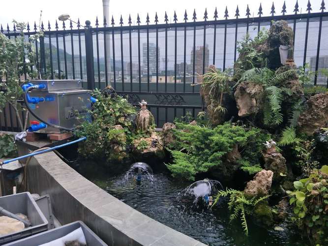 澳门管家婆100%精准香港和一地下室惊现大鱼池与地下室 鱼池