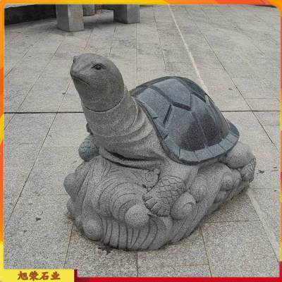 老澳门最新开奖结果今天和小孩被天降乌龟砸死与被天上掉下来的乌龟砸死的人
