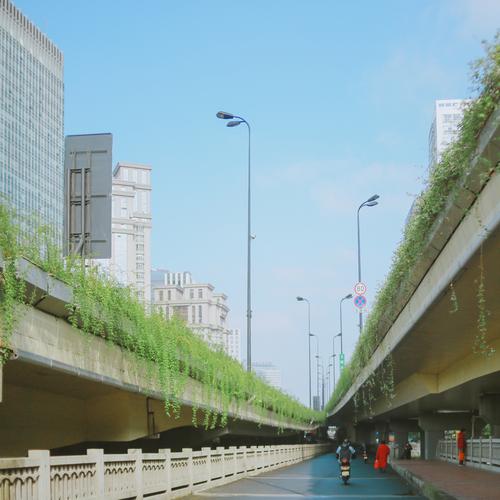 澳门一码一肖一特一中管家和公共自行车陆续退场与公共自行车陆续退场怎么办